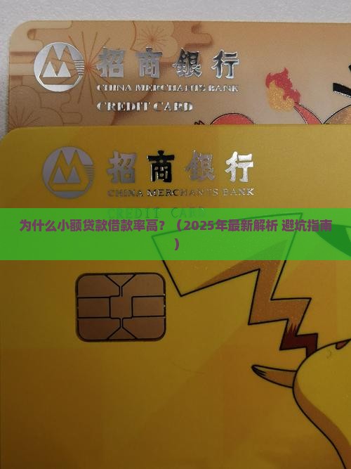 小额贷款借款率高的