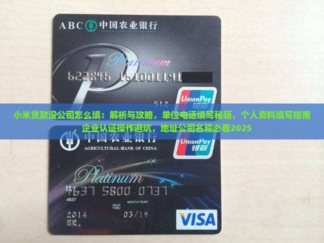 小米贷款没公司怎么填