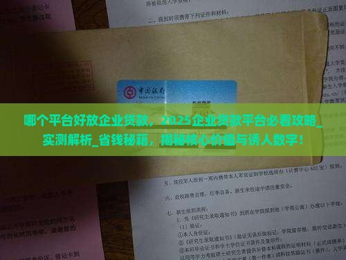 哪个平台好放企业贷款