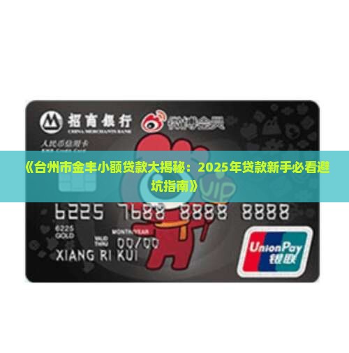 台州市金丰小额贷款