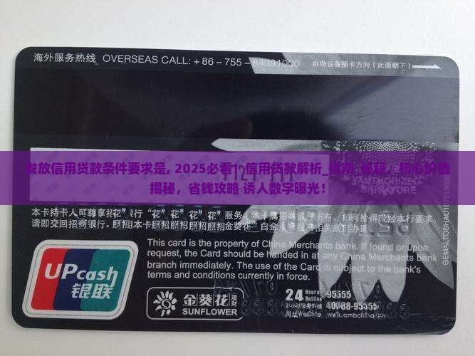发放信用贷款条件要求是