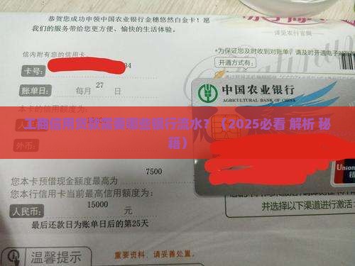 工商信用贷款银行流水