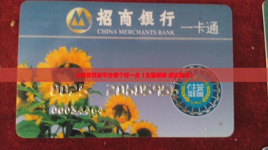 小网贷贷款平台哪个好一点