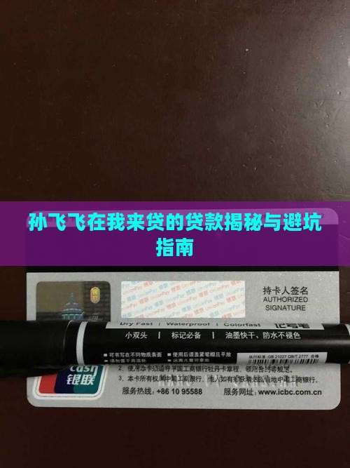 孙飞飞在我来贷的贷款
