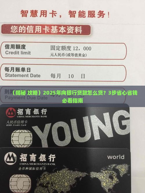 向银行贷款的说明