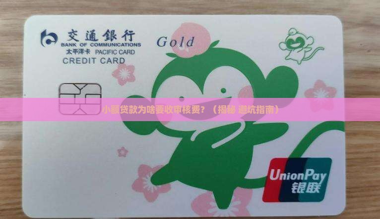 小额贷款收审核费