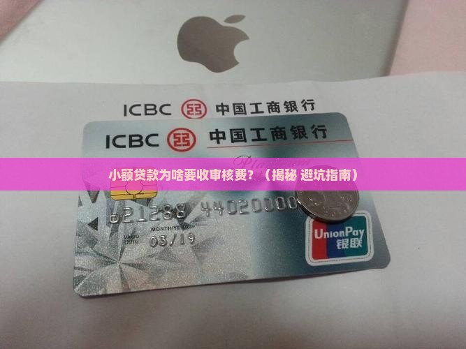 小额贷款收审核费