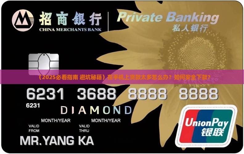 在手机上贷款多怎么处理