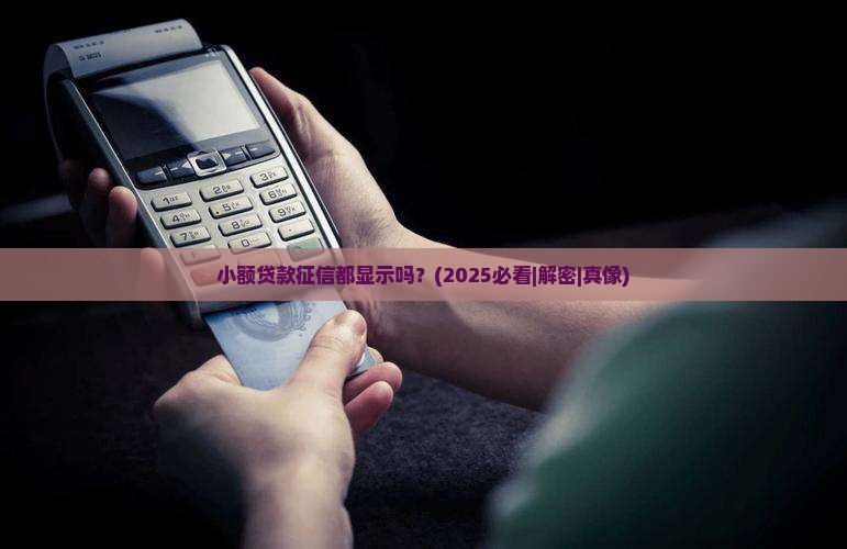 小额贷款征信都显示吗