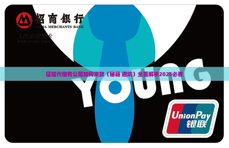 征信代偿有公司如何贷款