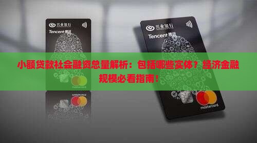 小额贷款社会融资包括