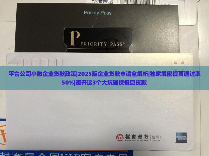 平台公司小微企业贷款政策