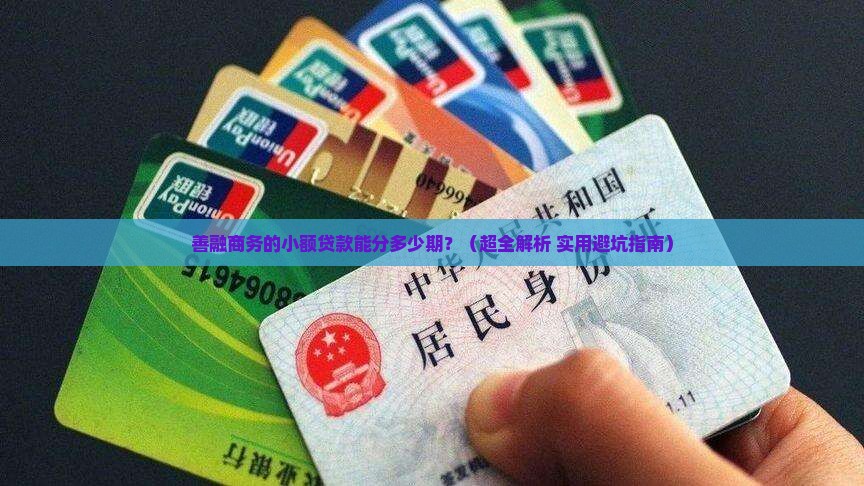 善融商务个人小额贷款多少期