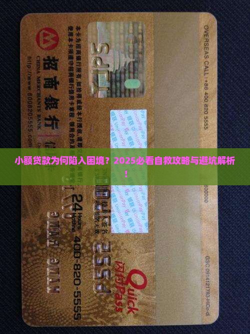 小额贷款的困境与自救