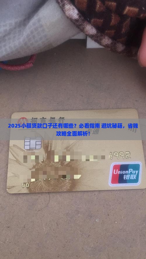 小额贷款口子还有啥