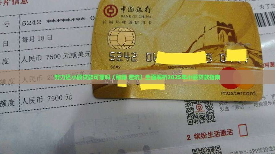 努力还小额贷款可靠吗