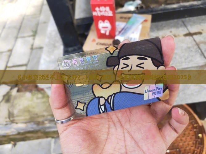 小额贷款最后还不上