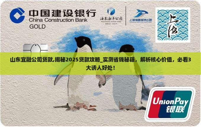 山东宜融公司贷款