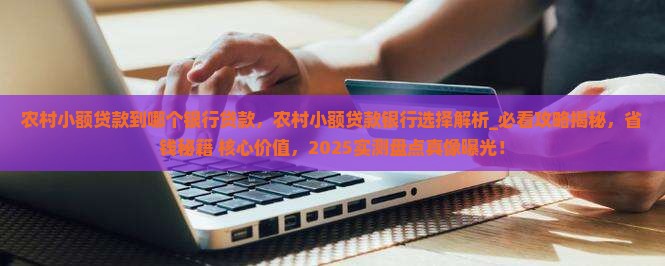 农村小额贷款到哪个银行贷款 农村小额贷款到哪个银行贷款