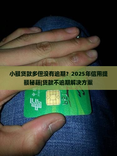 小额贷款多但没有逾期