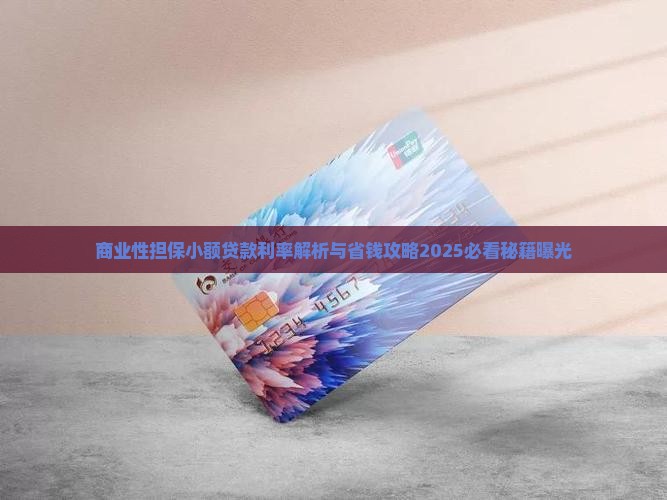 商业性担保小额贷款利率
