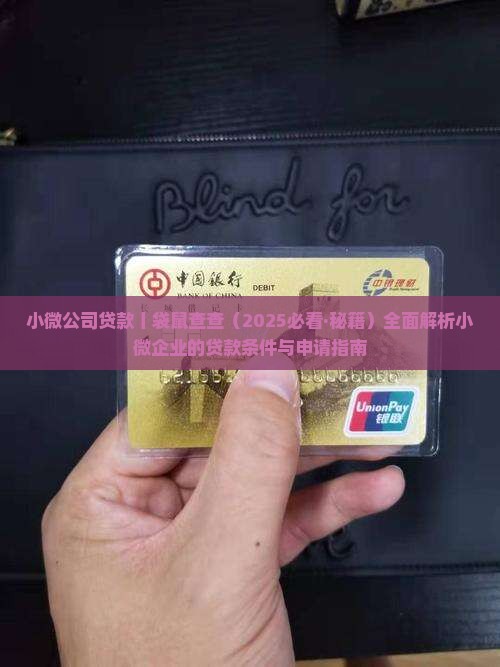 小微公司贷款丨袋鼠查查