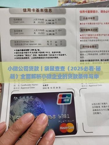 小微公司贷款丨袋鼠查查