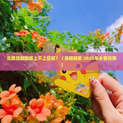 北辰贷款上征信吗
