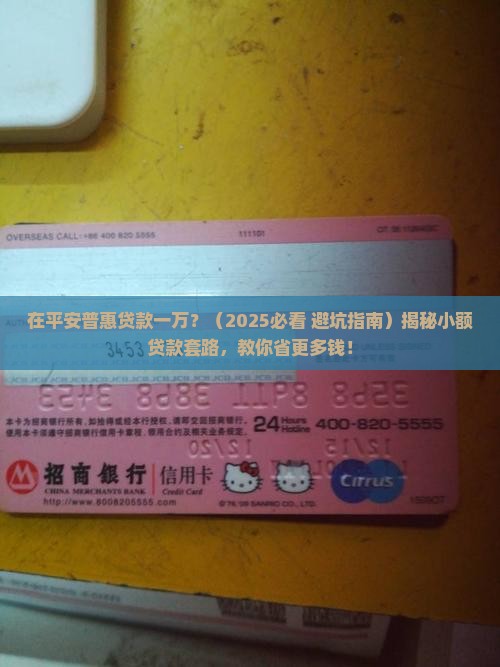 在平安普惠贷款一万