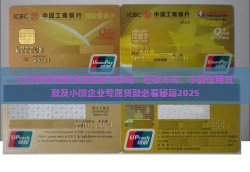 小微专享信用贷款