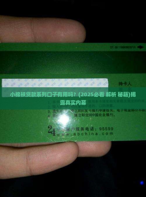 小棉袄贷款系列口子