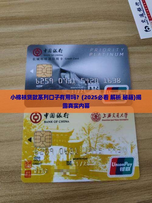 小棉袄贷款系列口子