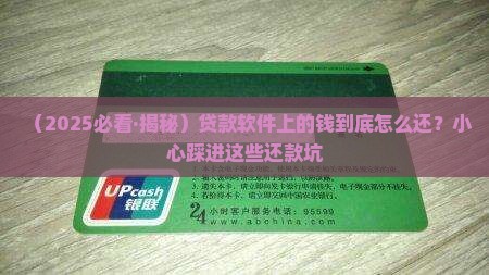 在贷款软件app上贷的钱该怎么还