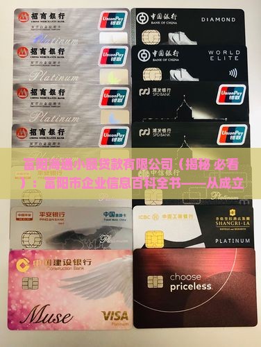 富阳海通小额贷款总经理