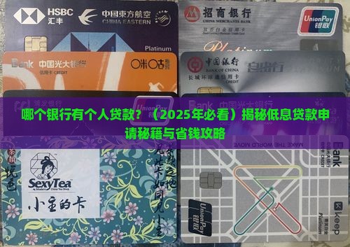哪个银行有个人贷款