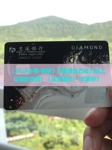 在哪看上征信的贷款