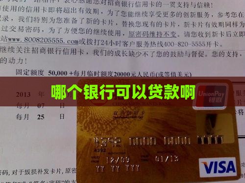 哪个银行可以贷款啊
