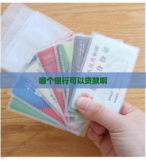 哪个银行可以贷款啊