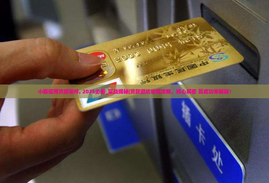 小额信用贷款案件