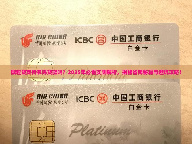微粒贷支持农民贷款吗