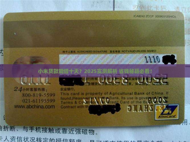 小米贷款可以贷十天吗