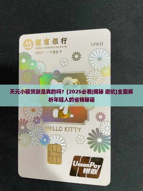 天元小额贷款是真的吗