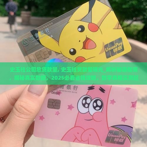 史玉柱公司总贷款量