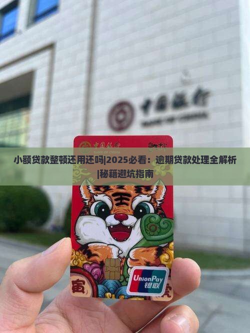 小额贷款整顿还用还吗
