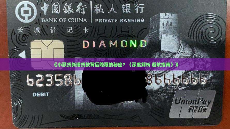 小额贷新增贷款总结