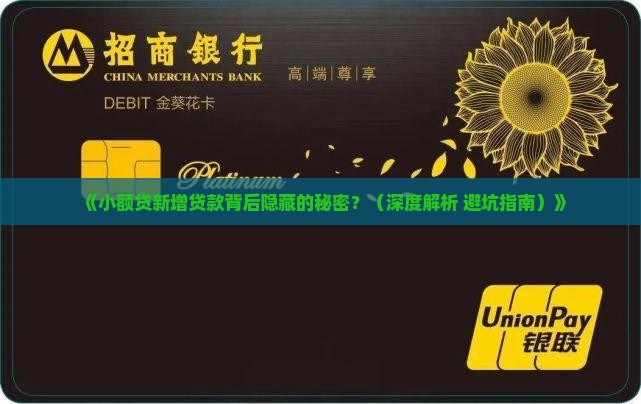 小额贷新增贷款总结