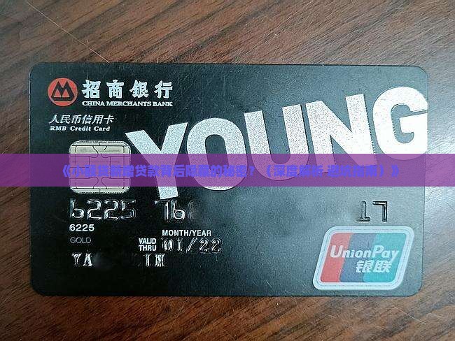 小额贷新增贷款总结