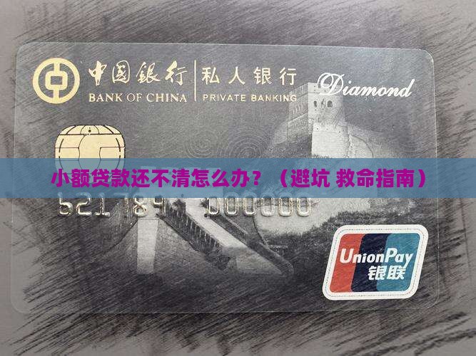 小额贷款还不清谁来还