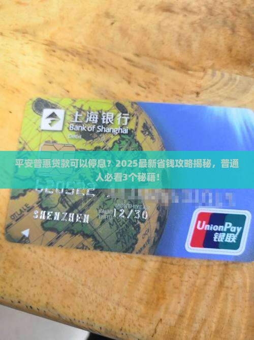 平安普惠贷款可以停息