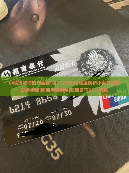 小额贷款借的钱要还吗